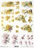 wiosenne kwiaty, 3D Flowers